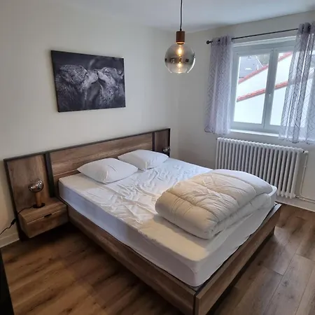 1er Etage - 90 M Plein Centre-ville ! * Gerardmer